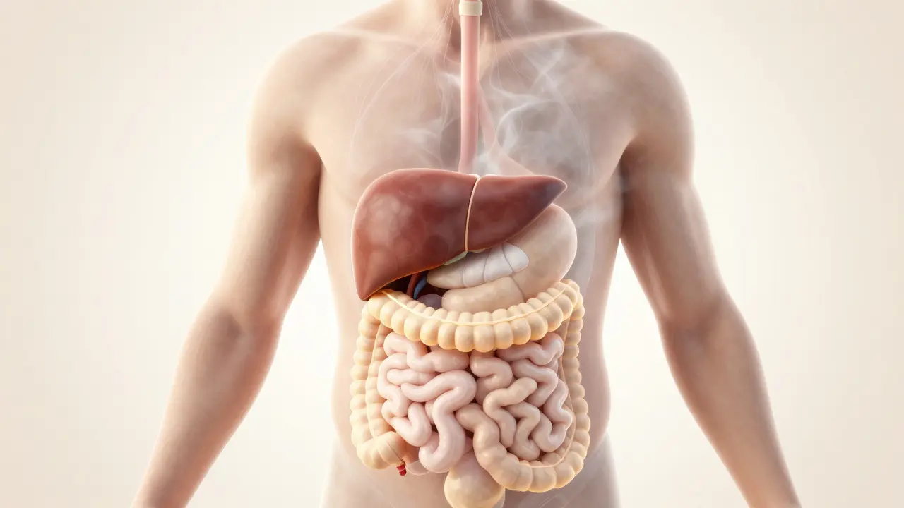 Jak si vyčistit tělo: Ověřená pravidla pro detoxikaci bez zbytečných diet